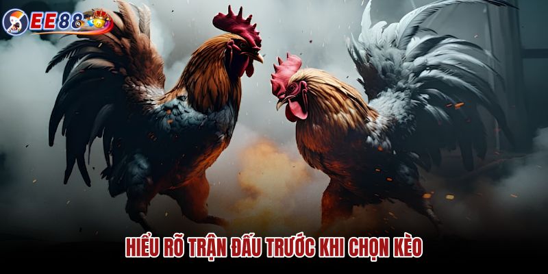hieu-ro-tran-dau-truoc-khi-chon-keo hieu-ro-tran-dau-truoc-khi-chon-keo