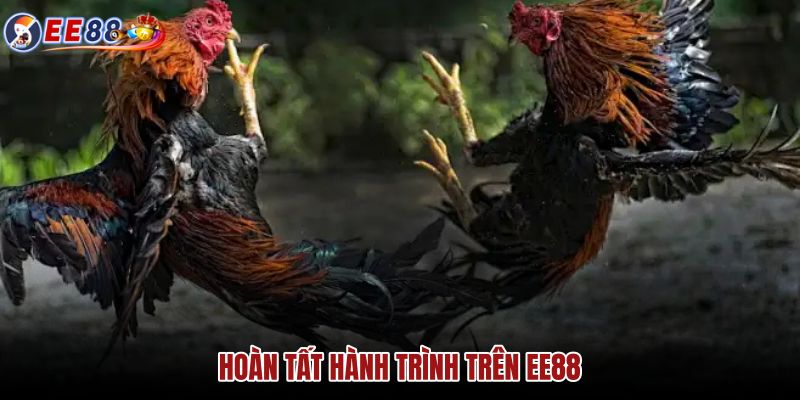 hoan-tat-hanh-trinh-tren-ee88 hoan-tat-hanh-trinh-tren-ee88