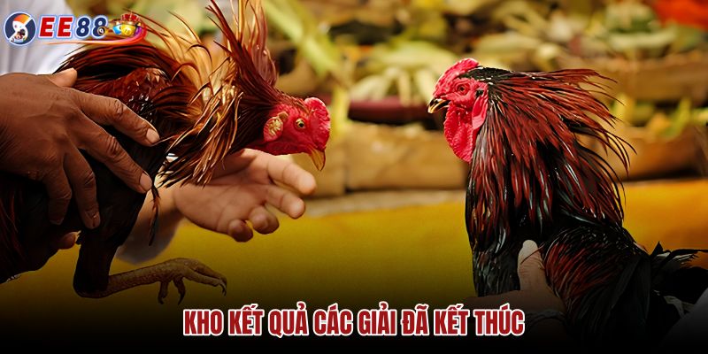 kho-ket-qua-cac-giai-da-ket-thuc