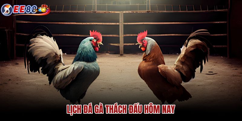 lich-da-ga-thach-dau-hom-nay lich-da-ga-thach-dau-hom-nay