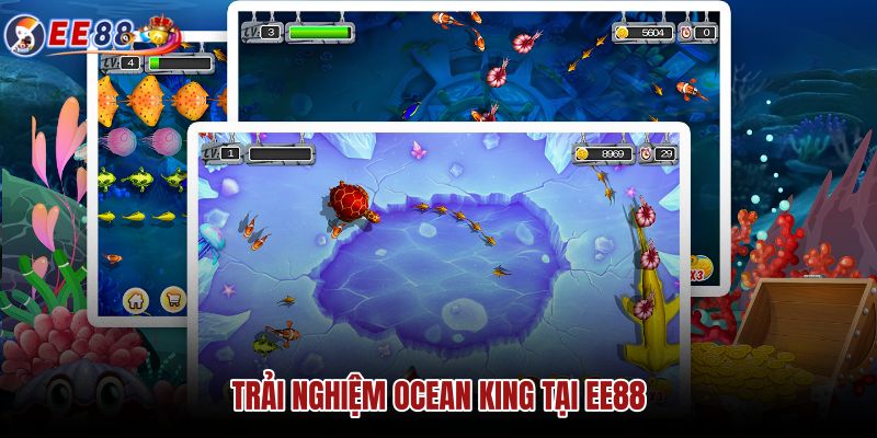 trai-nghiem-ocean-king-tai-ee88 trai-nghiem-ocean-king-tai-ee88