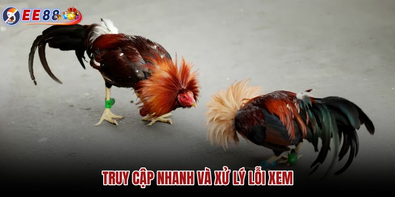 truy-cap-nhanh-va-xu-ly-loi-xem truy-cap-nhanh-va-xu-ly-loi-xem